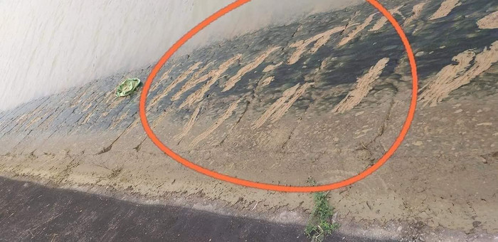 Những vết cào bên bờ kênh do nạn nhân bò lên nhưng không được