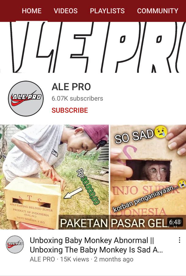 Kênh Youtube đang khiến dư luận căm phẫn. 