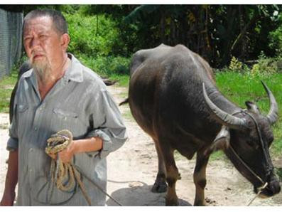 Nam nghệ sĩ tham gia diễn xuất trong phim Cải Ơi