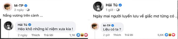 Dân tình soi ra không ít lần Sơn Tùng và Hải Tú còn thường xuyên tương tác trên MXH với những câu hỏi đáp đầy tính chất 'thả thính'.