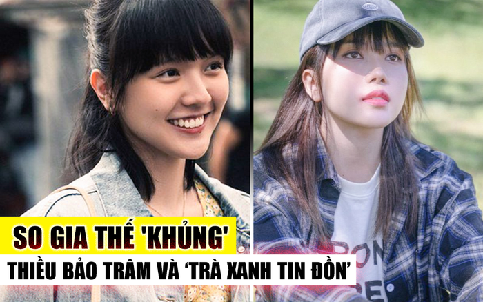So gia thế 'khủng' của Thiều Bảo Trâm và 'trà xanh' tin đồn của Sơn Tùng M-TP: Ai giàu hơn ai? Ảnh 2