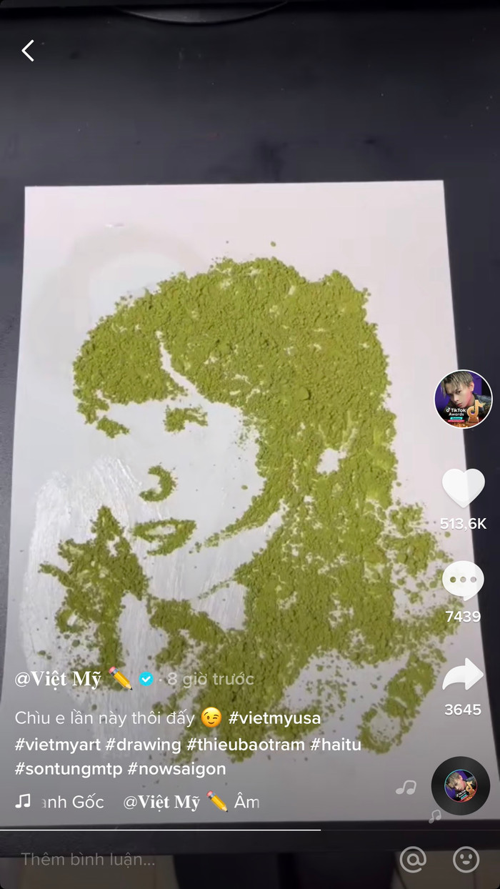 Chân dung Hải Tú