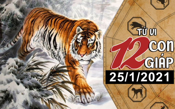Tử vi thứ 2 ngày 25/1/2021 của 12 con giáp: Dần dễ trúng số, Tuất chi tiêu bốc đồng Ảnh 2