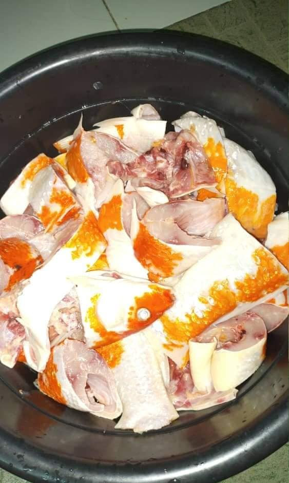 Những chú cá vài triệu đã bị cắt thành thế này