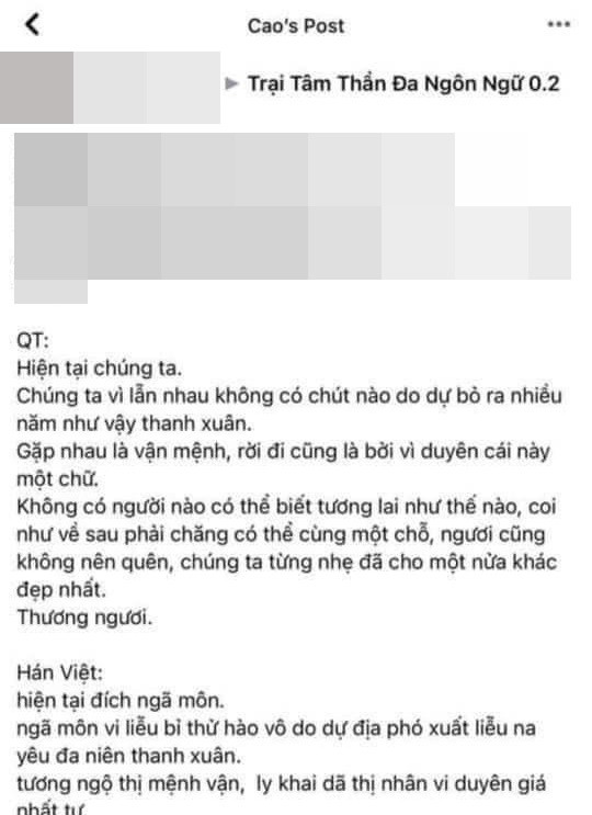 Tảng văn Sơn Tùng nhắn nhủ Thiều Bảo Trâm là 'đạo phẩm' văn học nước ngoài? Ảnh 2