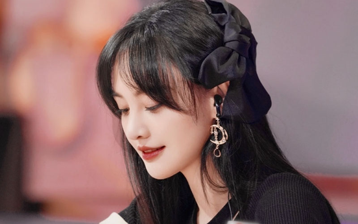 Trịnh Sảng bị đuổi khỏi giới giải trí, tương lai của hai đứa trẻ sẽ ra sao? Ảnh 2