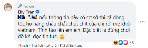 Bị nói là 'trà xanh' giật chồng người, Elly Trần đanh thép đáp trả Ảnh 7