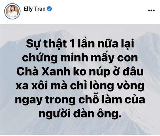 Những dòng trạng thái gây tranh cãi của Elly Trần xoay quanh chuyện ngoại tình và 'trà xanh'