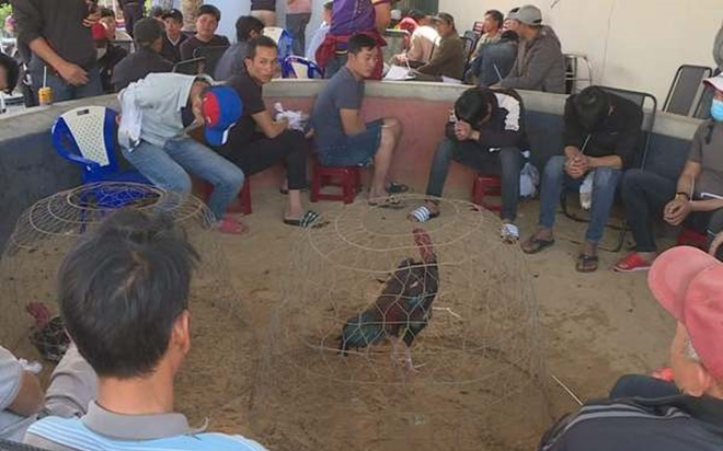 Bắt gần 50 đối tượng tại trường gà đội lốt cá cược bằng bia và thuốc lá Ảnh 2