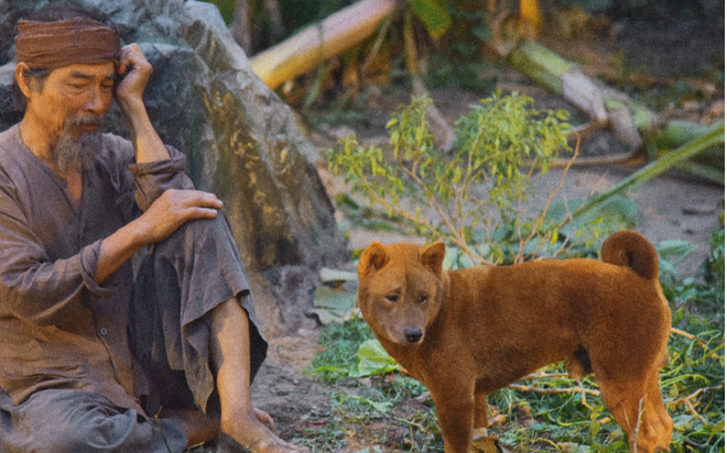 Bị dân mạng liên tục tẩy chay, phim 'Cậu Vàng' lỗ nặng hơn 20 tỷ, ngậm ngùi rời phòng vé Ảnh 2