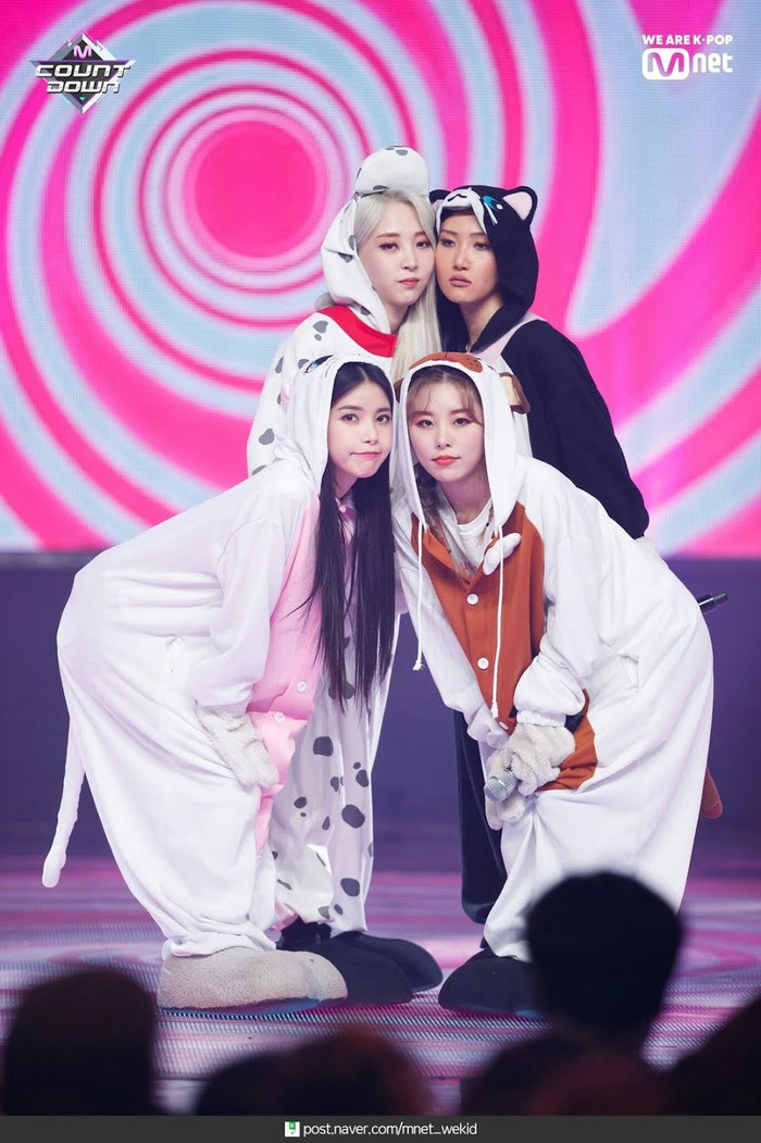 15 nhóm nhạc nữ K-pop ăn khách nhất mọi thời đại, TWICE chiếm no. 1 Ảnh 5