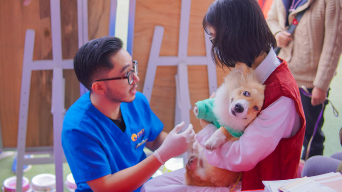 Ngoài cuộc thi thời trang, thú cưng cũng được khám và tư vấn sức khỏe miễn phí.