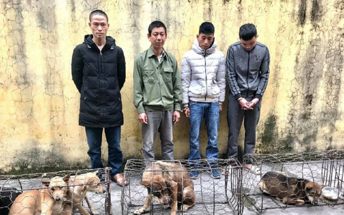 Bắn đạn hơi cay khống chế 'cẩu tặc' cố thủ trong nhà Ảnh 2