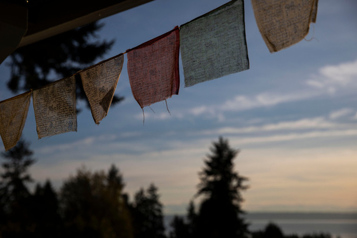 Không ai có thể phủ nhận năm 2020 là một năm ảm đạm vì COVID-19 nhưng đằng sau đó cũng ẩn chứa nhiều câu chuyện đẹp đẽ.