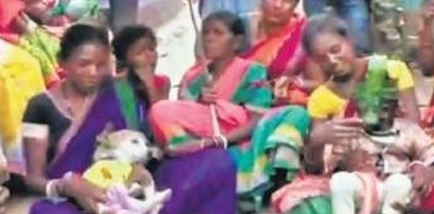 Hai đứa trẻ phải kết hôn với chó để giải vận xui. 