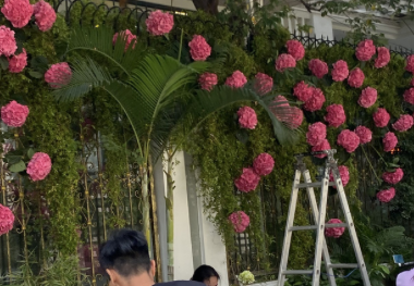 Phía nhà gái cũng lộng lẫy thế này rồi