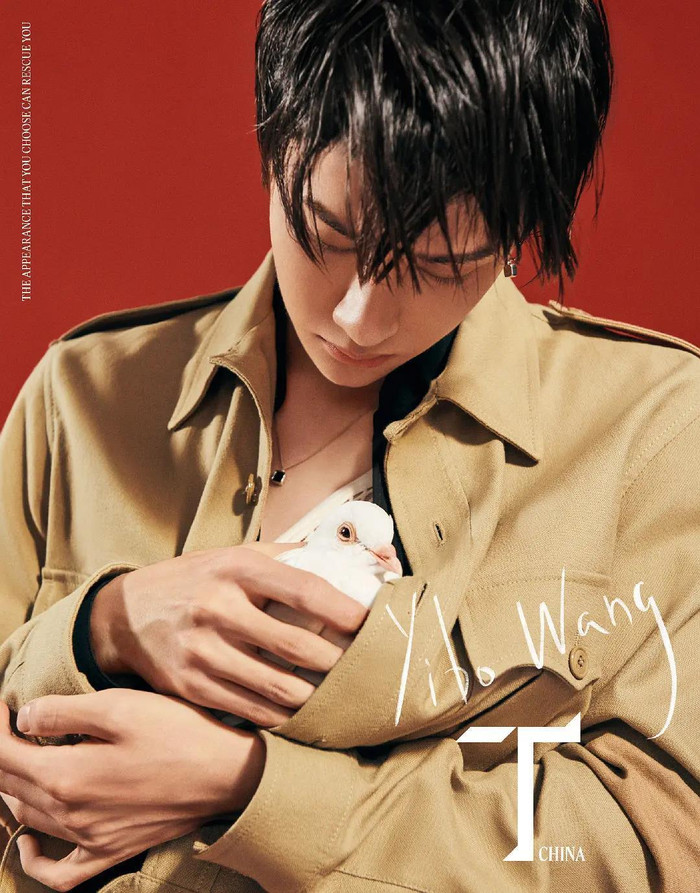 Vương Nhất Bác chứng minh độ hot qua doanh thu tiêu thụ tạp chí Ảnh 6