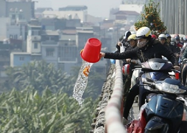 Không nên thả cá chép từ trên cao xuống.