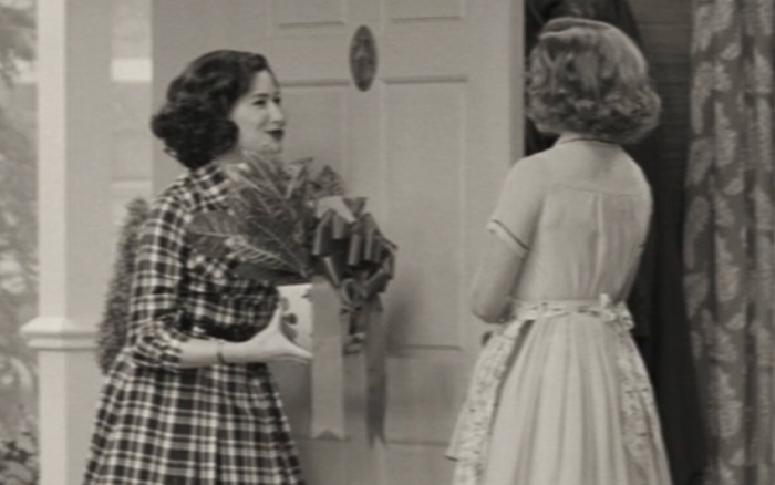 Chậu hoa Wundagore Everbloom, món quà cưới của Wanda & Vision Ảnh 2