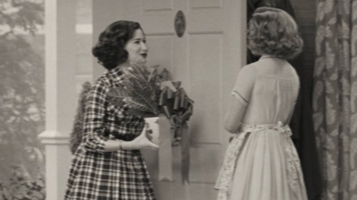 Chậu hoa Wundagore Everbloom, món quà cưới của Wanda & Vision Ảnh 4