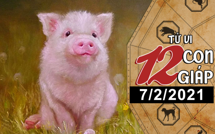 Tử vi chủ nhật ngày 7/2/2021 của 12 con giáp: Dậu dễ bị lừa gạt, Hợi mệt mỏi với công việc Ảnh 2