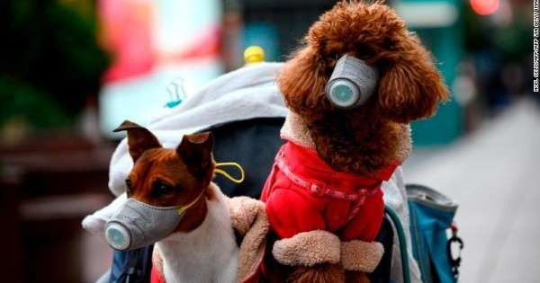 Chiếc khẩu trang có vẻ đang rất 'hot'