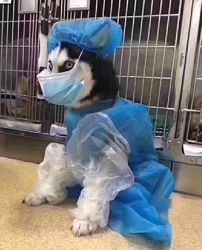 Độ bao phủ 90% cơ thể