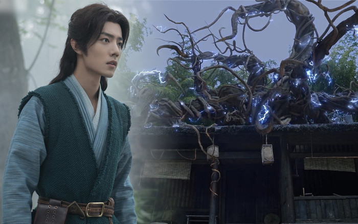 Quỷ Đằng - Hồn hoàn thứ 2 của Đường Tam trong 'Đấu la đại lục' mạnh cỡ nào? Ảnh 2