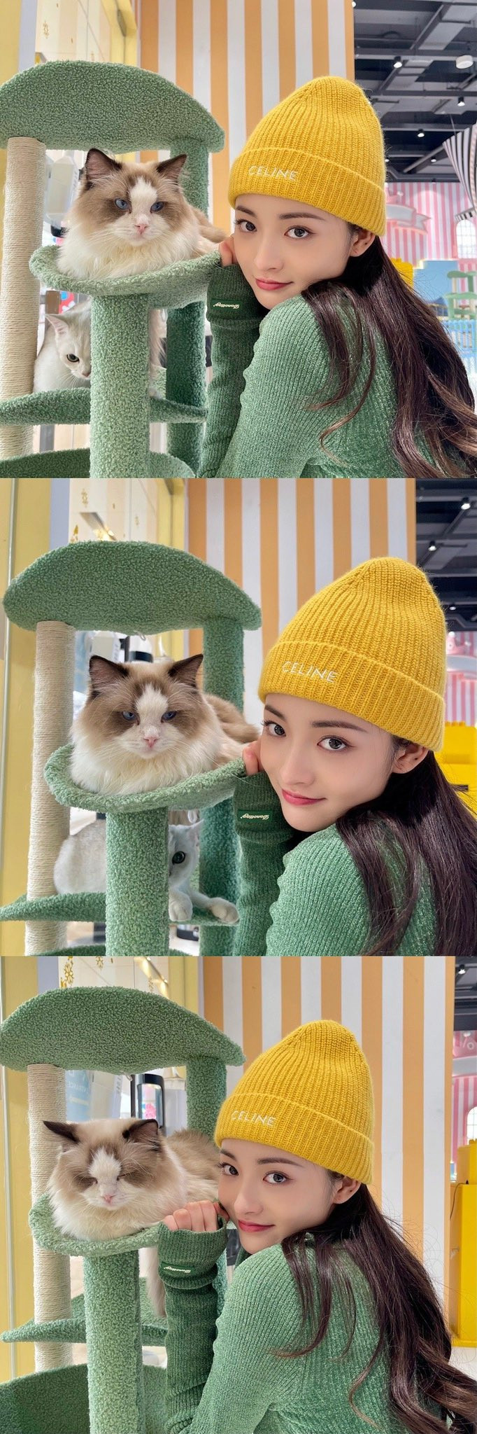 Chu Khiết Quỳnh.