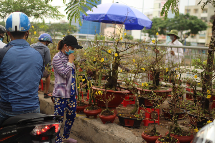 Rộn ràng sắc xuân tại chợ hoa 'Trên bến dưới thuyền' Ảnh 8