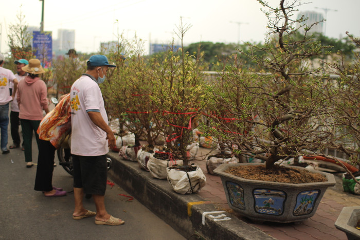 Rộn ràng sắc xuân tại chợ hoa 'Trên bến dưới thuyền' Ảnh 10