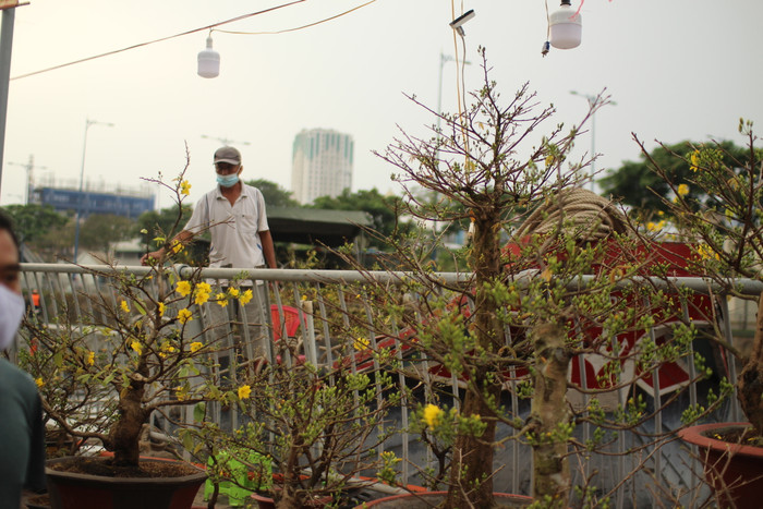 Rộn ràng sắc xuân tại chợ hoa 'Trên bến dưới thuyền' Ảnh 13