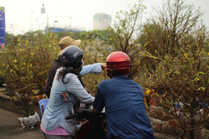 Rộn ràng sắc xuân tại chợ hoa 'Trên bến dưới thuyền' Ảnh 14