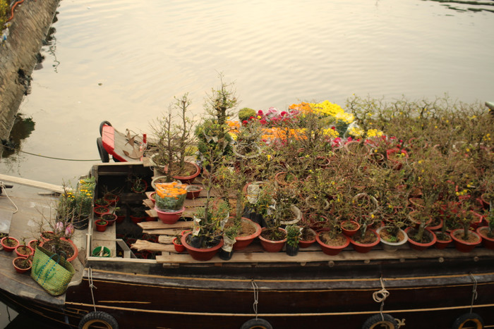 Rộn ràng sắc xuân tại chợ hoa 'Trên bến dưới thuyền' Ảnh 17