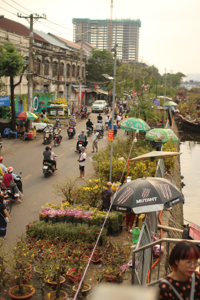 Rộn ràng sắc xuân tại chợ hoa 'Trên bến dưới thuyền' Ảnh 30
