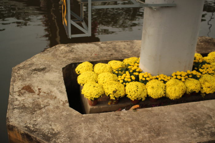 Rộn ràng sắc xuân tại chợ hoa 'Trên bến dưới thuyền' Ảnh 31