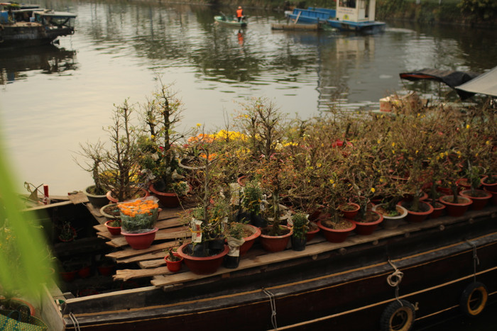 Rộn ràng sắc xuân tại chợ hoa 'Trên bến dưới thuyền' Ảnh 32