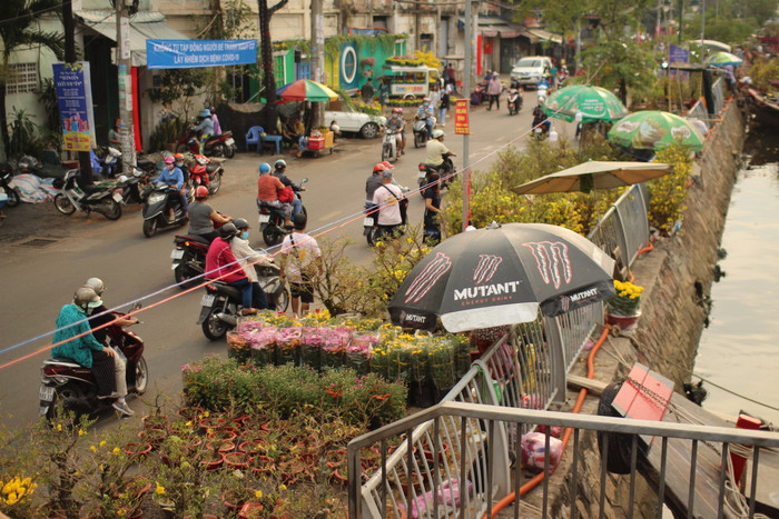 Rộn ràng sắc xuân tại chợ hoa 'Trên bến dưới thuyền' Ảnh 33