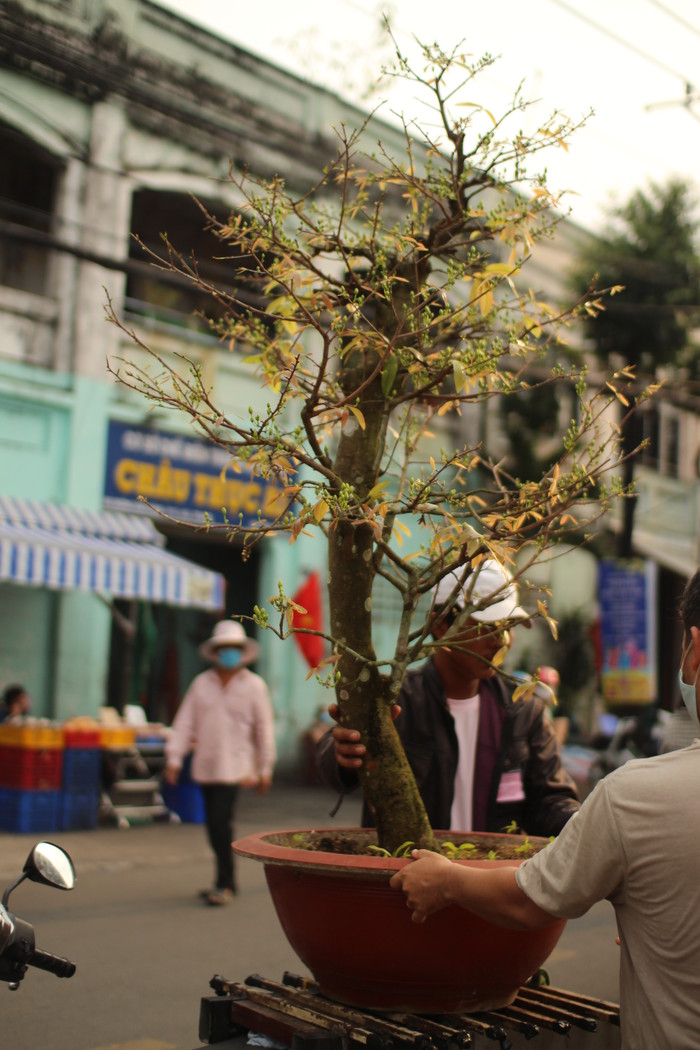 Rộn ràng sắc xuân tại chợ hoa 'Trên bến dưới thuyền' Ảnh 35