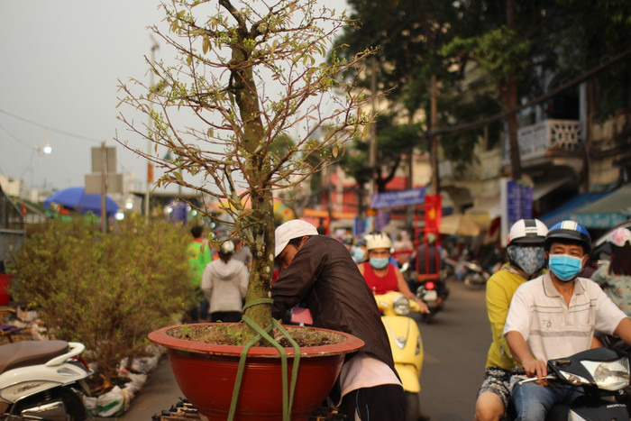 Rộn ràng sắc xuân tại chợ hoa 'Trên bến dưới thuyền' Ảnh 38