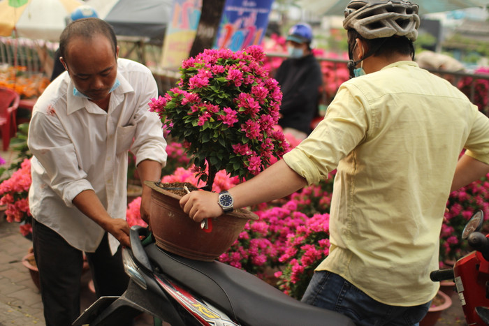 Rộn ràng sắc xuân tại chợ hoa 'Trên bến dưới thuyền' Ảnh 43