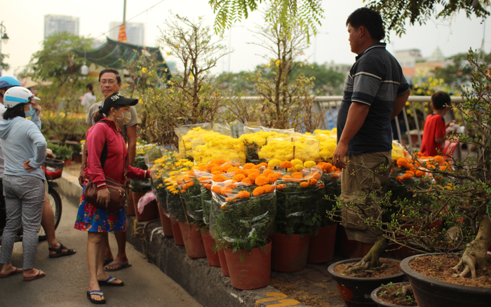 Rộn ràng sắc xuân tại chợ hoa 'Trên bến dưới thuyền' Ảnh 2