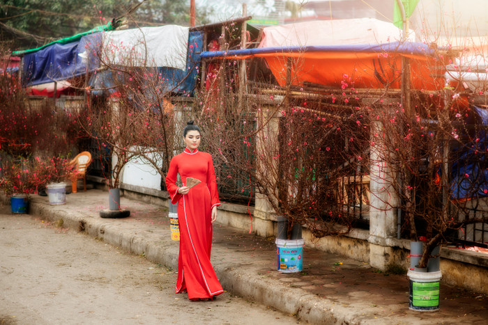 Duyên dáng đón xuân với áo dài nhung lụa thêu đính hoa lá thủ công Ảnh 3