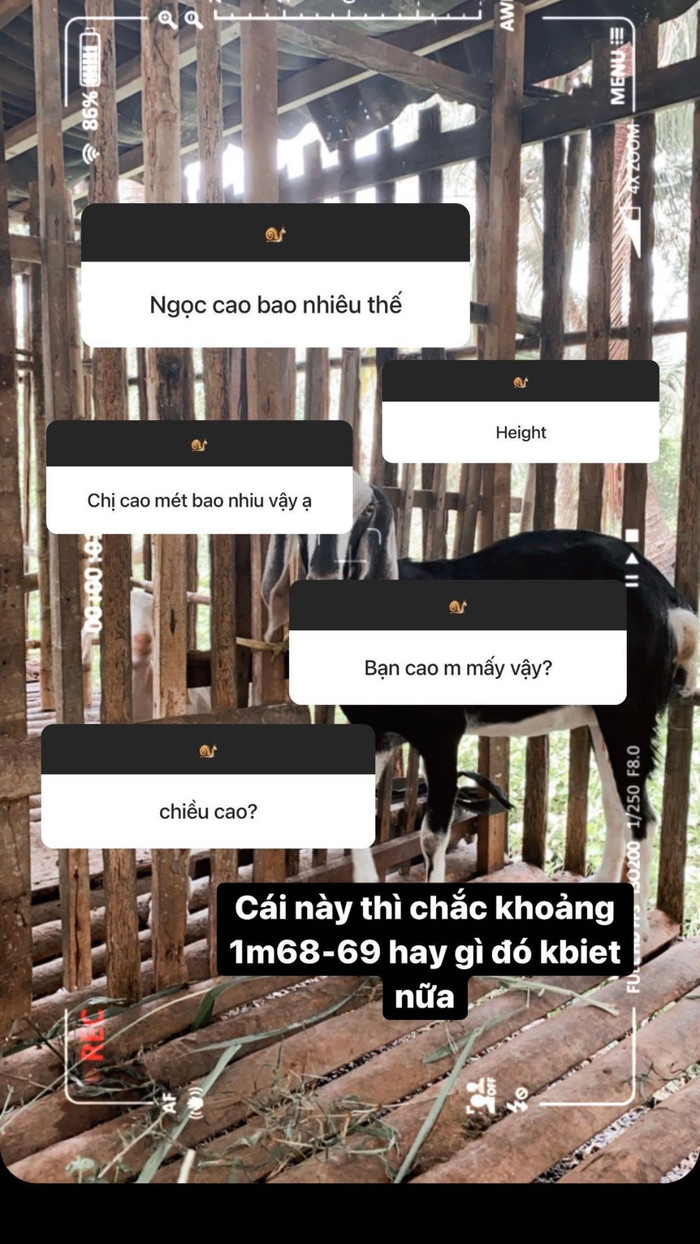 Con gái út 13 tuổi của MC Quyền Linh khiến cộng đồng mạng phát cuồng vì chiều cao 'khủng' Ảnh 6