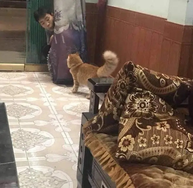 Cả năm mới trở về nhà, thanh niên nhìn thấy bố đẻ chơi đùa với 'con ruột' nhưng chỉ đành ngậm ngùi Ảnh 5