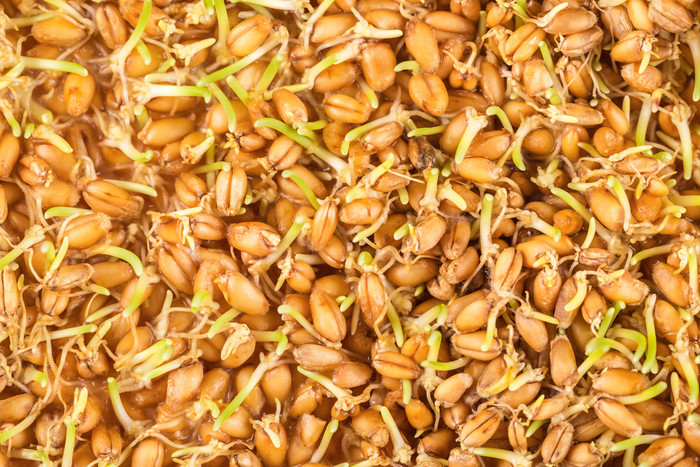 7 Thức uống giảm cân tự nhiên bất chấp bạn ăn uống 'ngập mặt' ngày Tết Ảnh 3