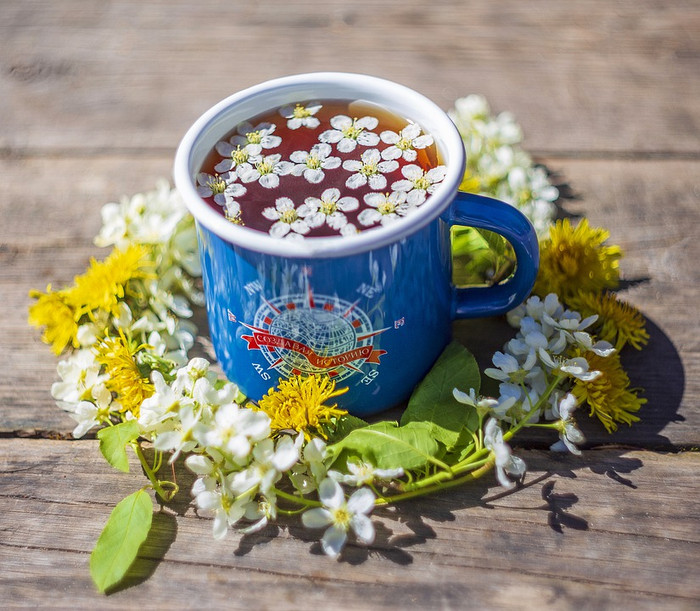 7 Thức uống giảm cân tự nhiên bất chấp bạn ăn uống 'ngập mặt' ngày Tết Ảnh 5