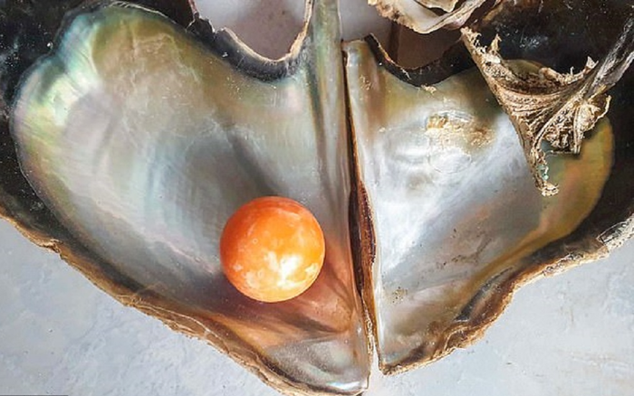 Được 'bụt' báo mộng, ngư dân nghèo nhặt được viên ngọc quý trị giá hơn 7 tỷ đồng Ảnh 2