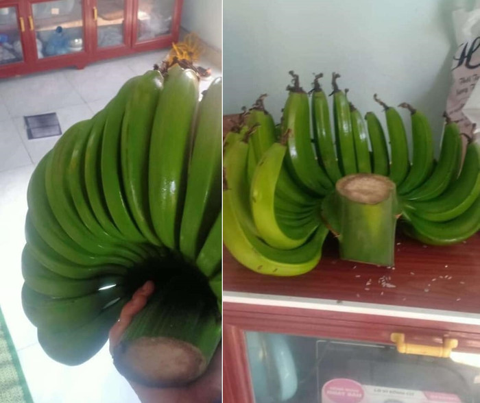 Nhìn nải chuối vừa xanh ngắt vừa gầy gò khiến cô vợ ngao ngán không nói nên lời. 