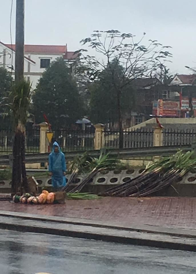 Nam sinh lớp 10 đi bán mía Tết phụ gia đình, đứng lặng nhìn trời mưa tầm tã.